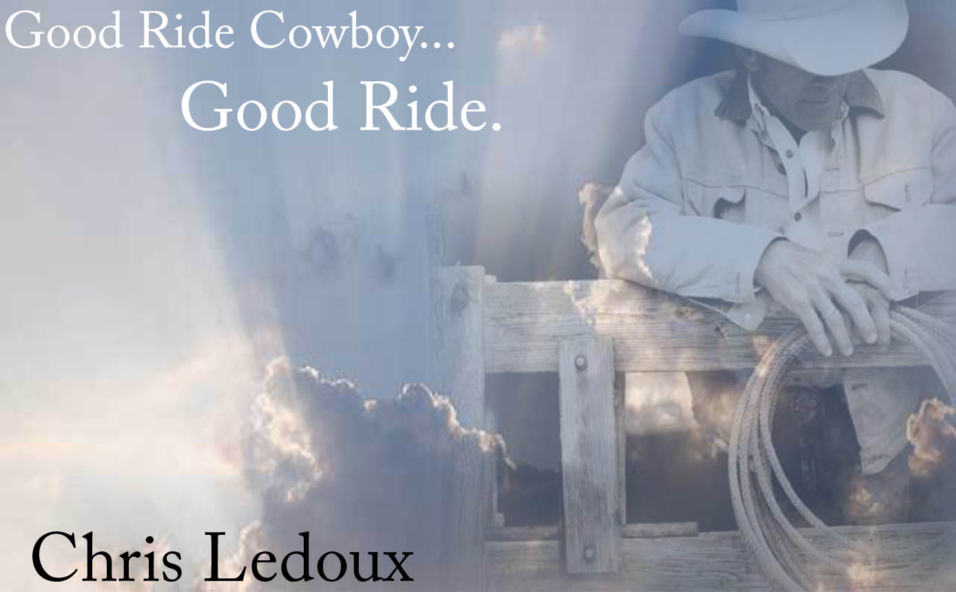chris-ledouxs-quotes-3